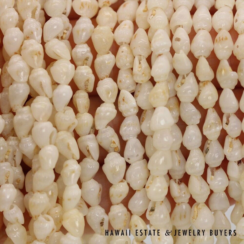 Ni'ihau Shell Lei 10-Strand Pololei Momi Ke'oke'o 36 Inch with Earrings - Image 10