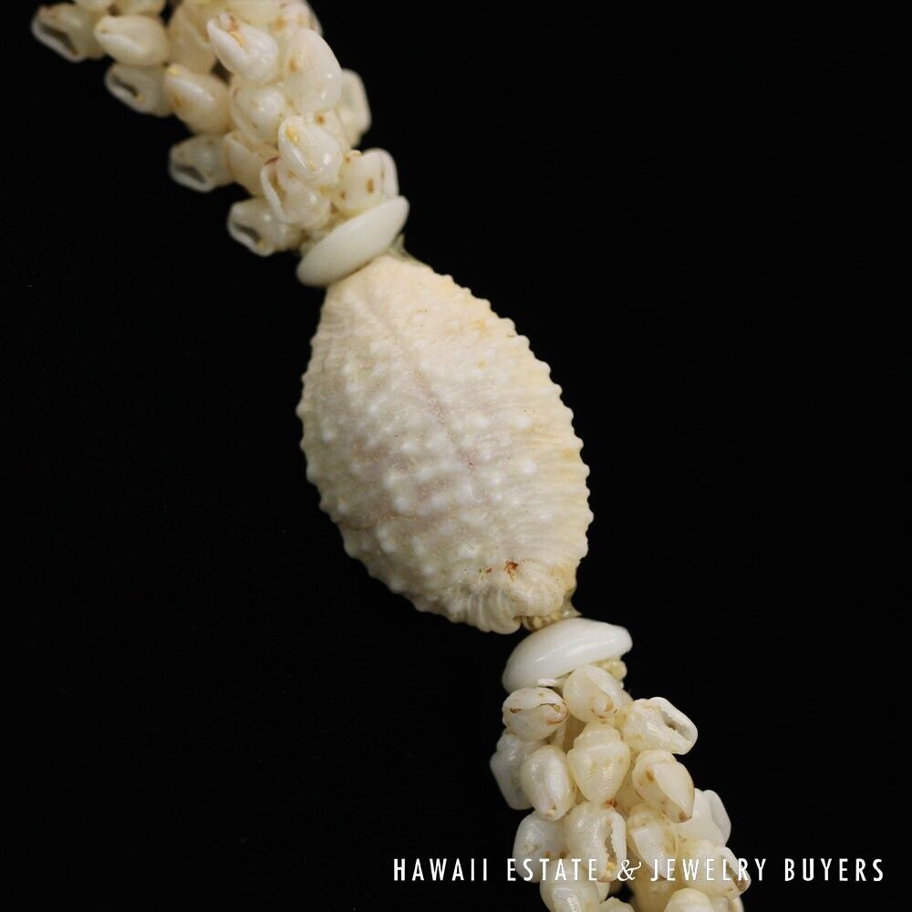 Ni'ihau Shell Lei 3-Strand Pikake Momi White Red Tip 40 Inch Hawaiian Necklace - Image 12