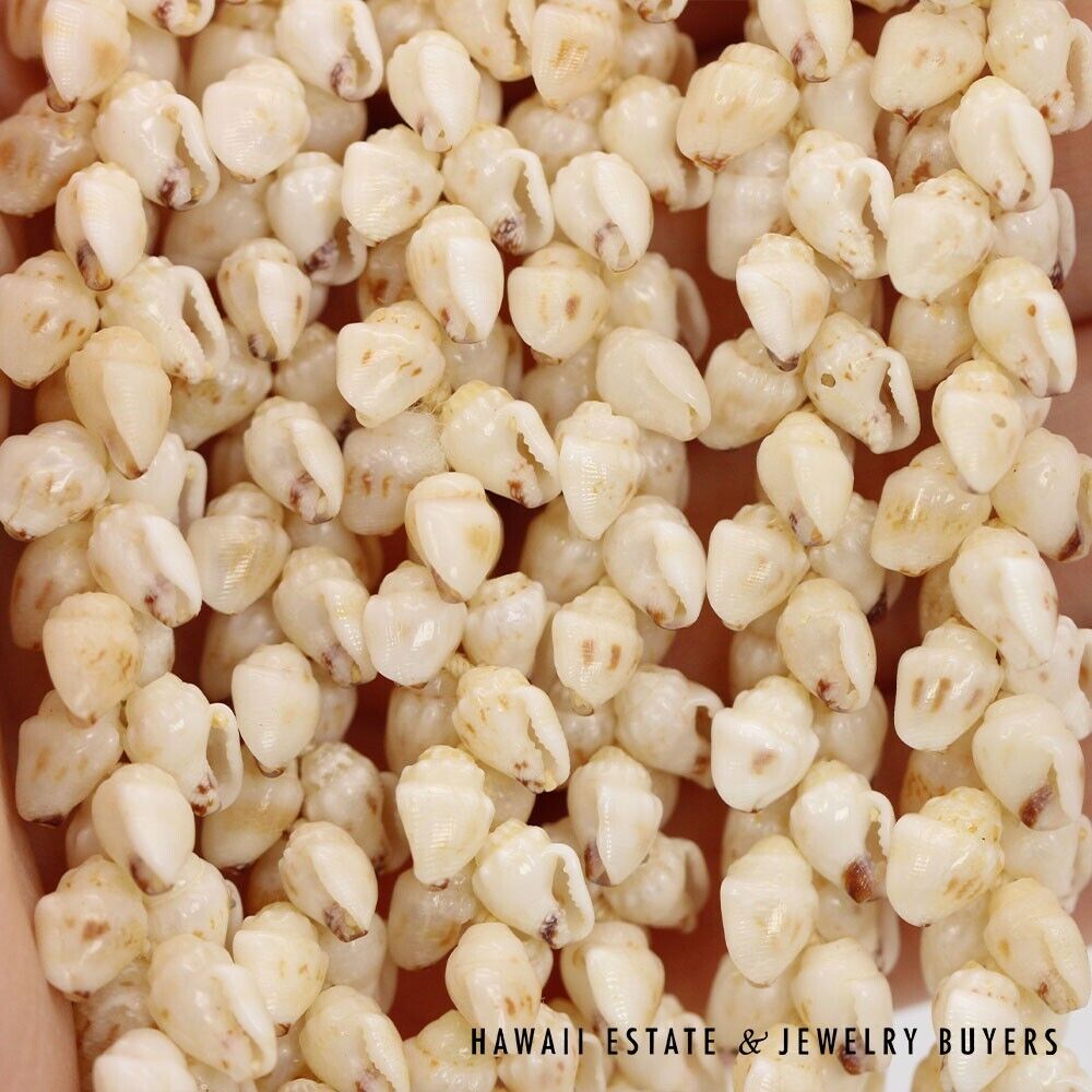 Three-Strand Ni'ihau Shell Lei: Pikake Momi Lenalena 36 inches #2835-01 - Image 10