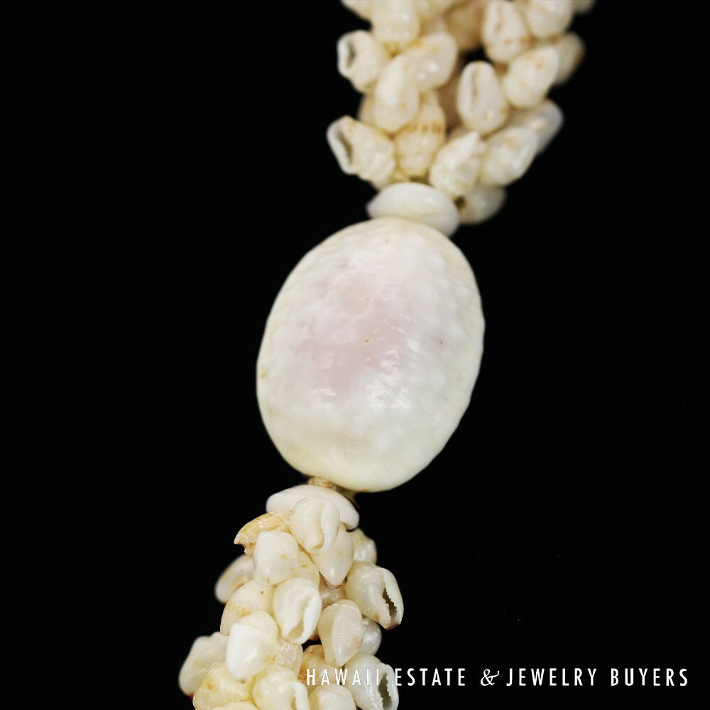 Ni'ihau Shell Lei 3-Strand Pikake Momi Lenalena 38 Inch - Image 12