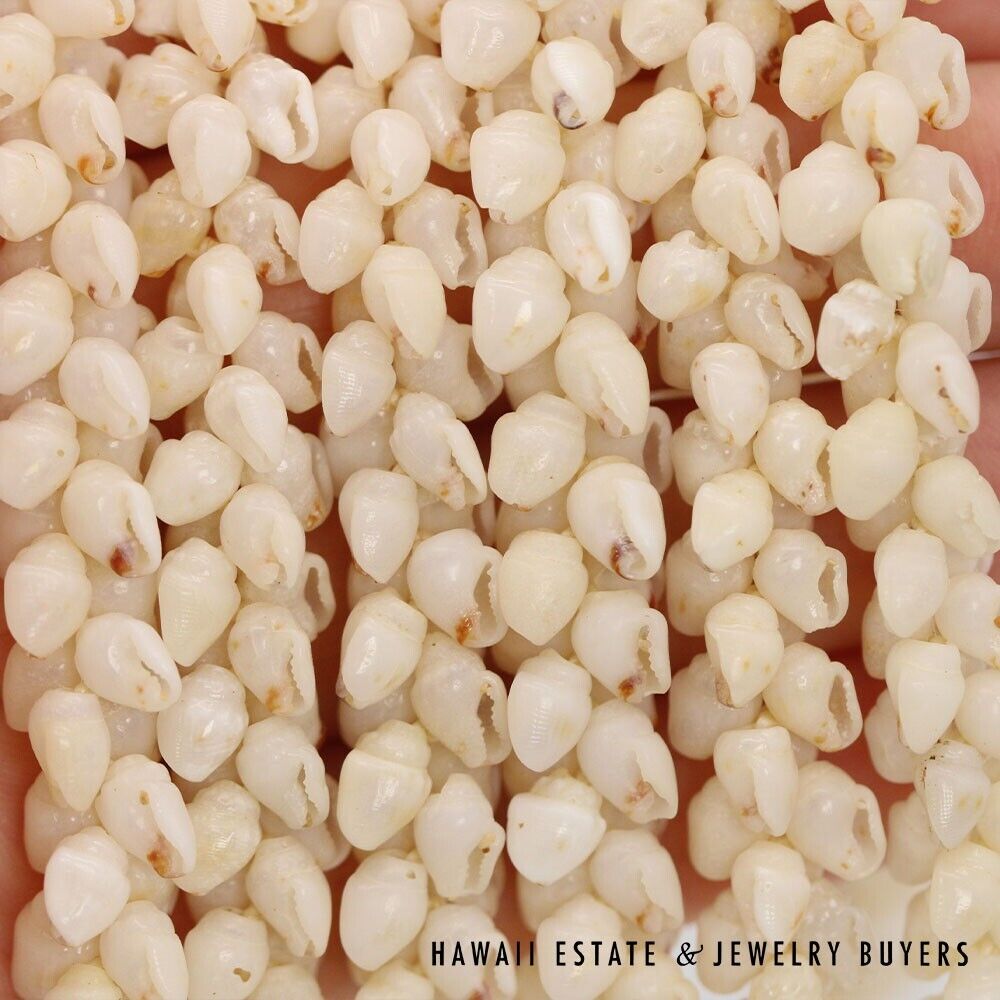 Ni'ihau Shell Lei 3-Strand Pikake Momi Lenalena Necklace 36 Inch - Image 9