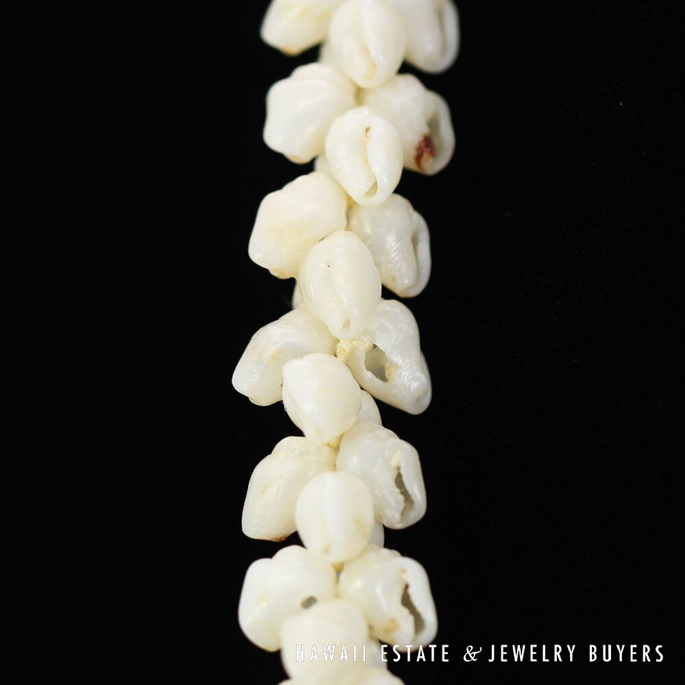 Ni'ihau Shell Lei Single Strand Pikake Momi Ke'oke'o 30 Inch - Image 11
