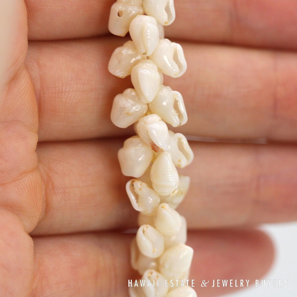 Ni'ihau Shell Lei Single Strand Pikake Momi Ke'oke'o 30 Inch - Image 8