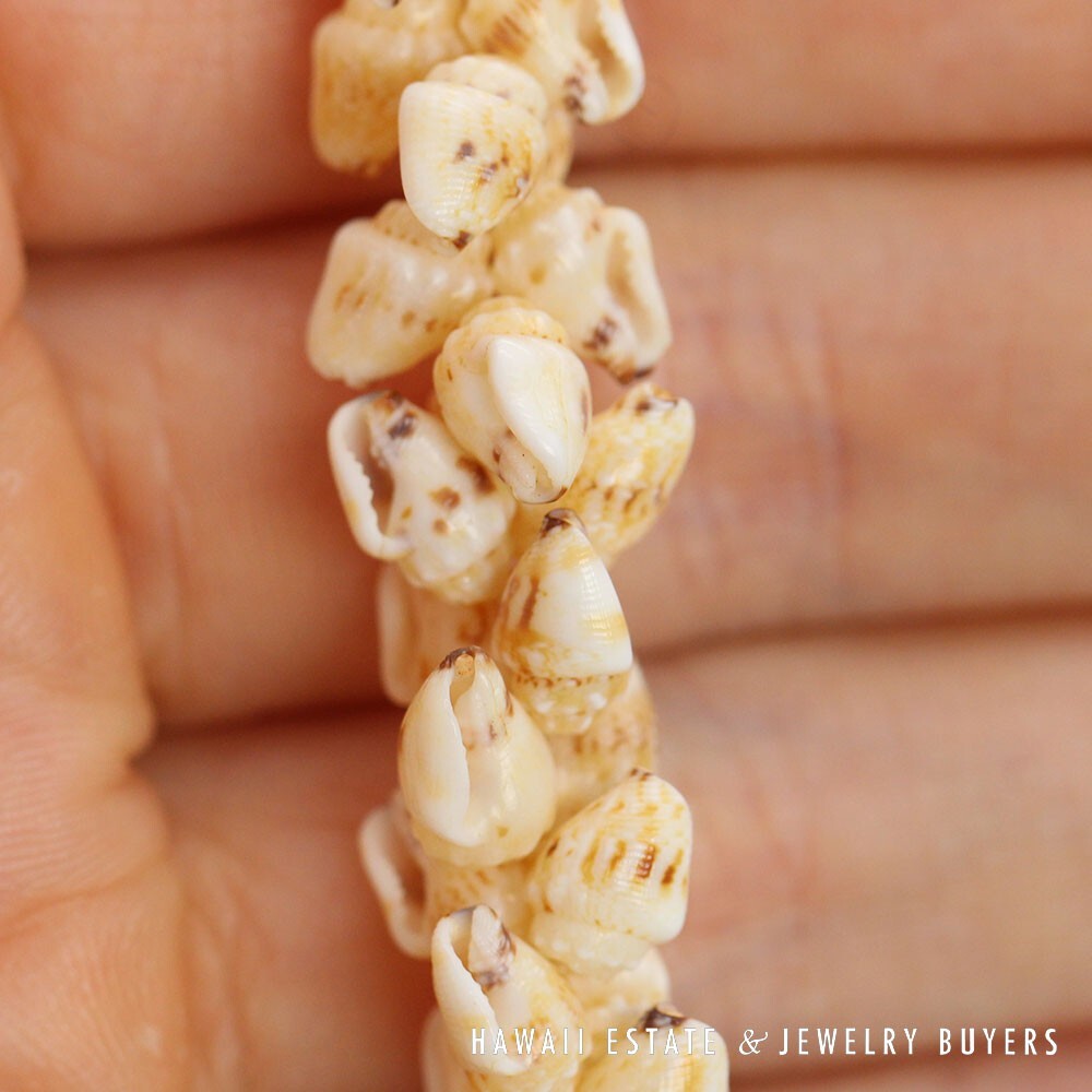 Single-Strand Ni'ihau Shell Lei: Pikake Momi Lenalena 62 inches #2778-19 - Image 11