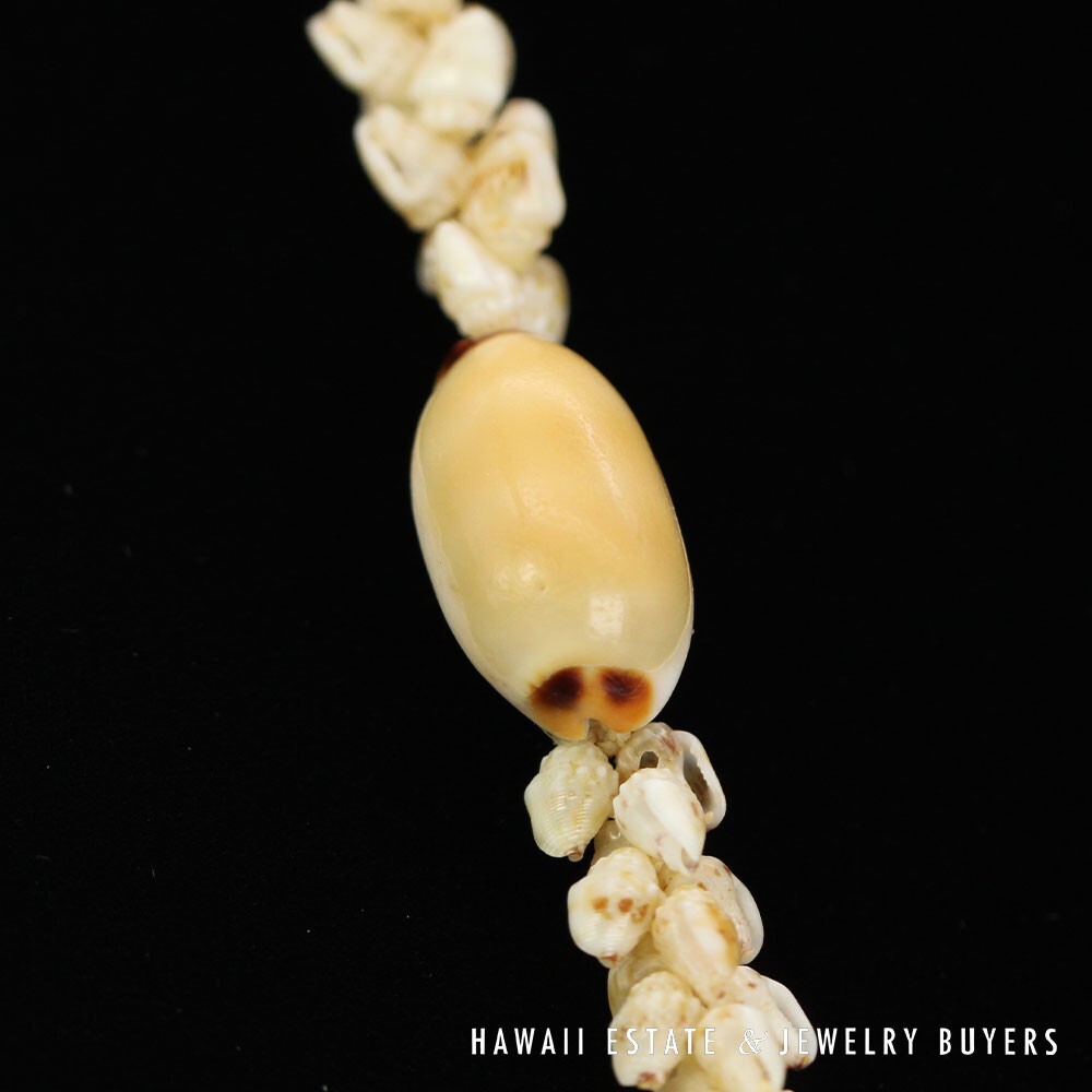 Single-Strand Ni'ihau Shell Lei: Pikake Momi Lenalena 62 inches #2778-19 - Image 8