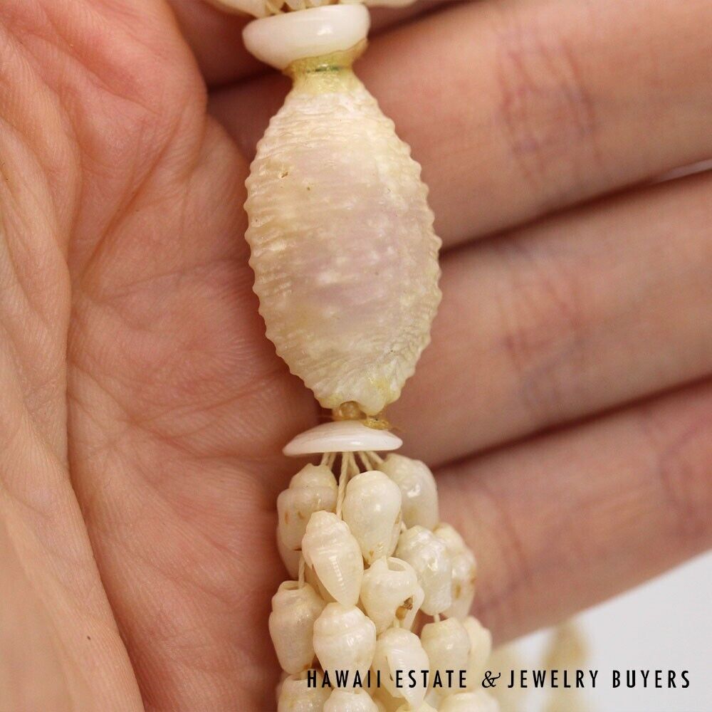 Ni'ihau Shell Lei 10-Strand Pololei Momi Ke'oke'o 36 Inch with Earrings - Image 11