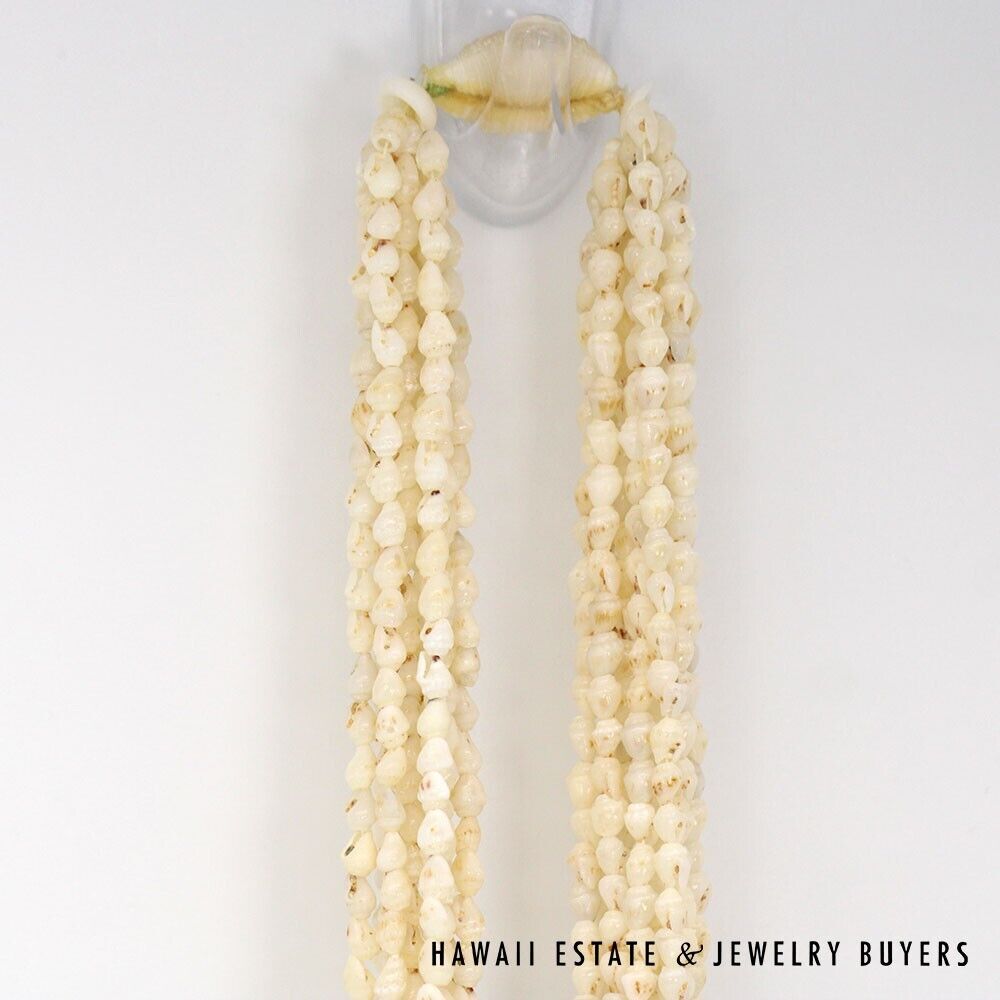 Ni'ihau Shell Lei 10-Strand Pololei Momi Ke'oke'o 36 Inch with Earrings - Image 6