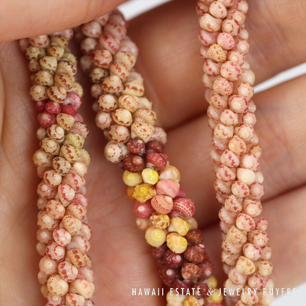 Multi-Color Ni'ihau Shell Kahelelani Poepoe Necklace 20 Inch - Image 11