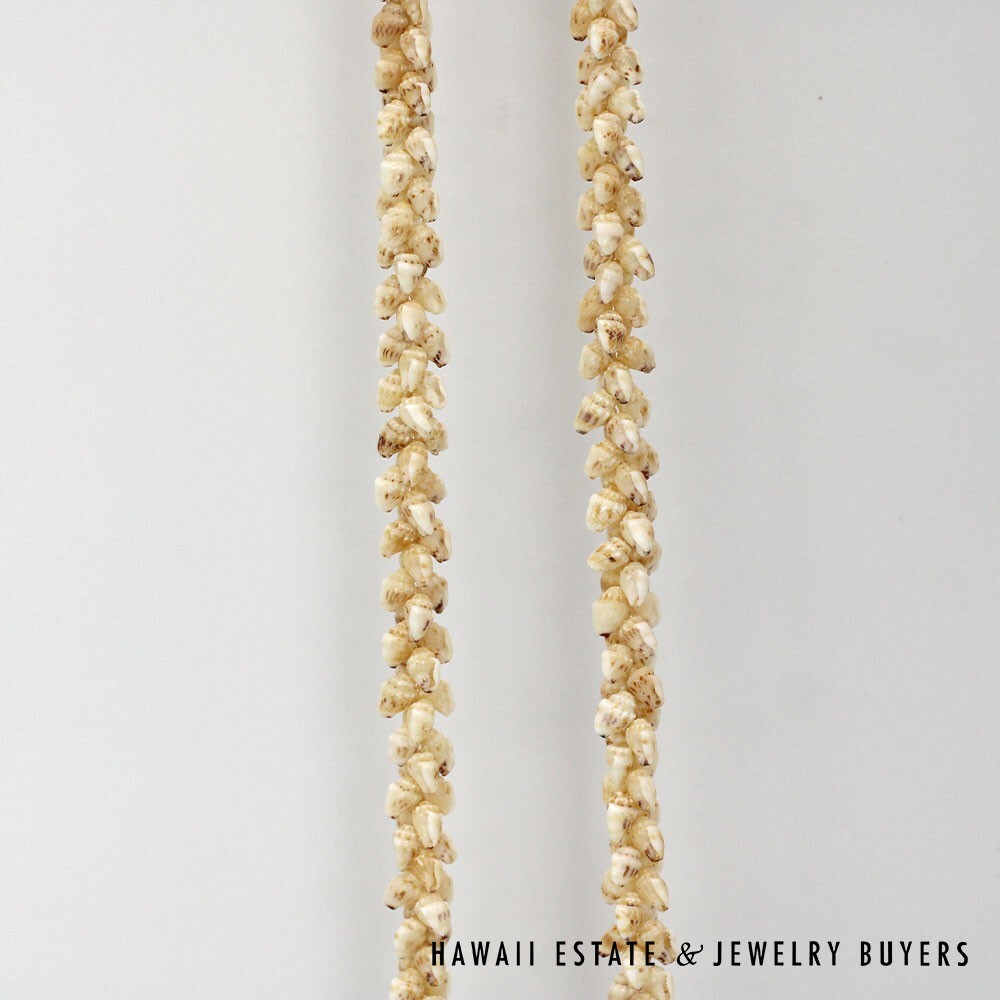 Single-Strand Ni'ihau Shell Lei: Pikake Momi Lenalena 62 inches #2778-19 - Image 5