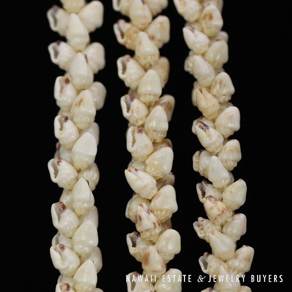 Three Strand Ni'ihau Shell Lei: Pikake Momi Lenalena Waha Ela Ela 48" #2402-01 - Image 11
