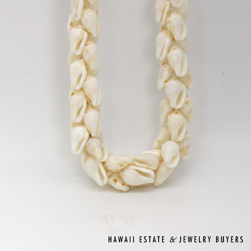 Ni'ihau Shell Lei Pikake Alilea & Pohole Single Strand 43 Inch - Image 8