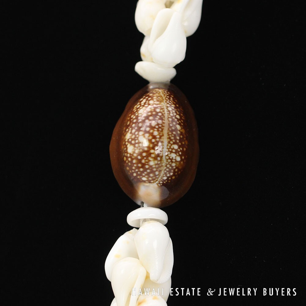 Ni'ihau Shell Lei Pikake Alilea & Pohole Single Strand 43 Inch - Image 11