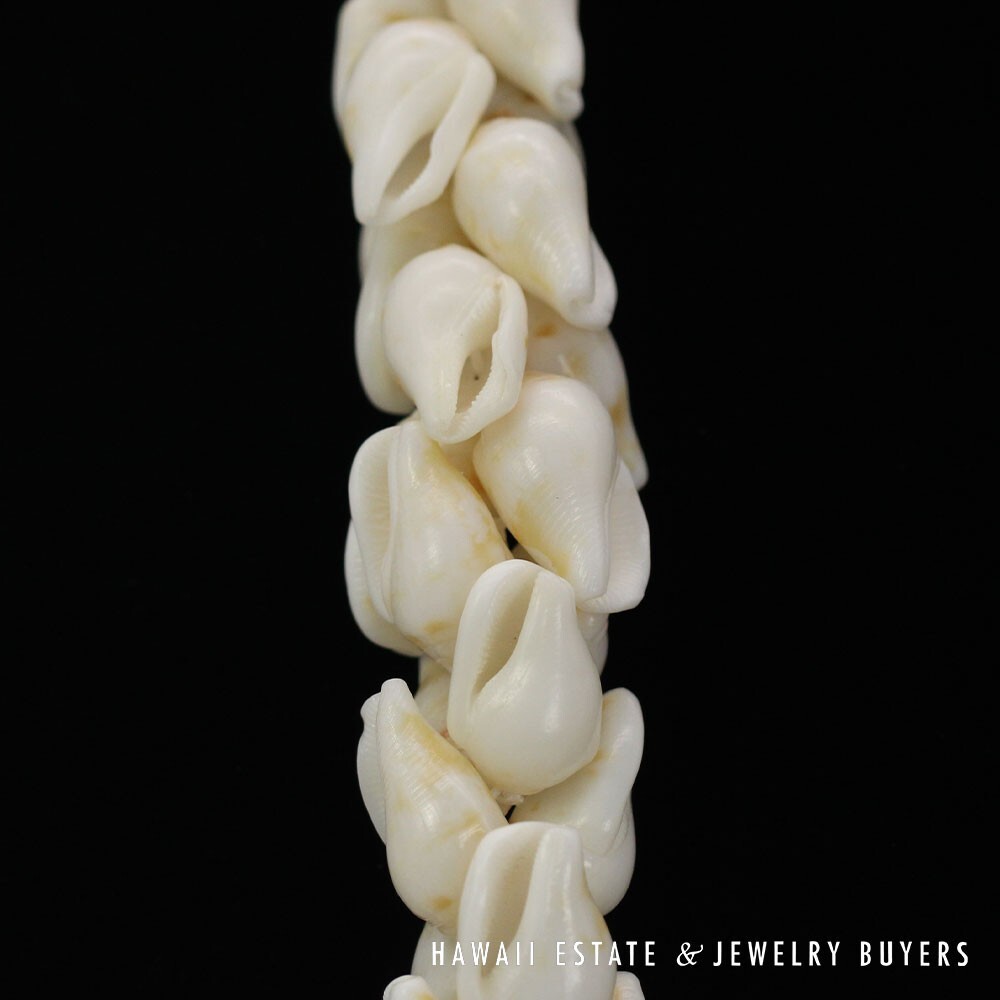 Ni'ihau Shell Lei Pikake Alilea & Pohole Single Strand 43 Inch - Image 10
