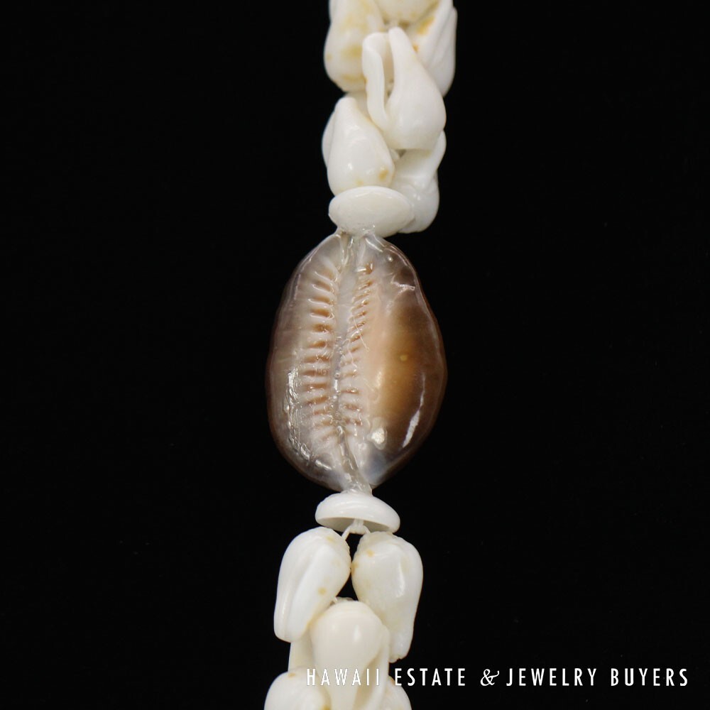 Ni'ihau Shell Lei Pikake Alilea & Pohole Single Strand 43 Inch - Image 12