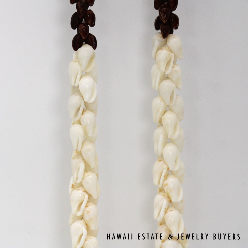 Ni'ihau Shell Lei Pikake Alilea & Pohole Single Strand 43 Inch - Image 7