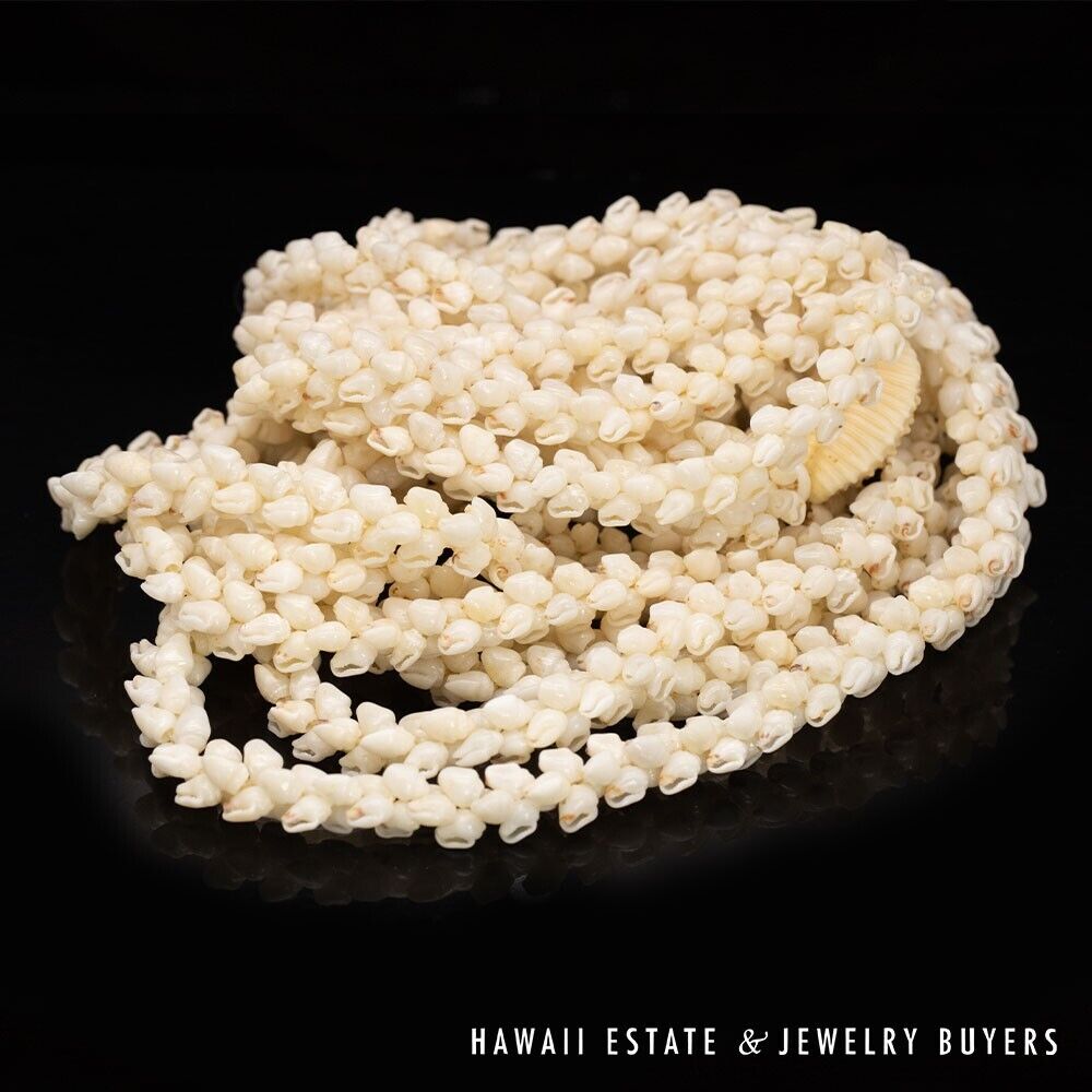 Ni'ihau Shell Lei 3-Strand White Momi Pikake Necklace 41 Inch