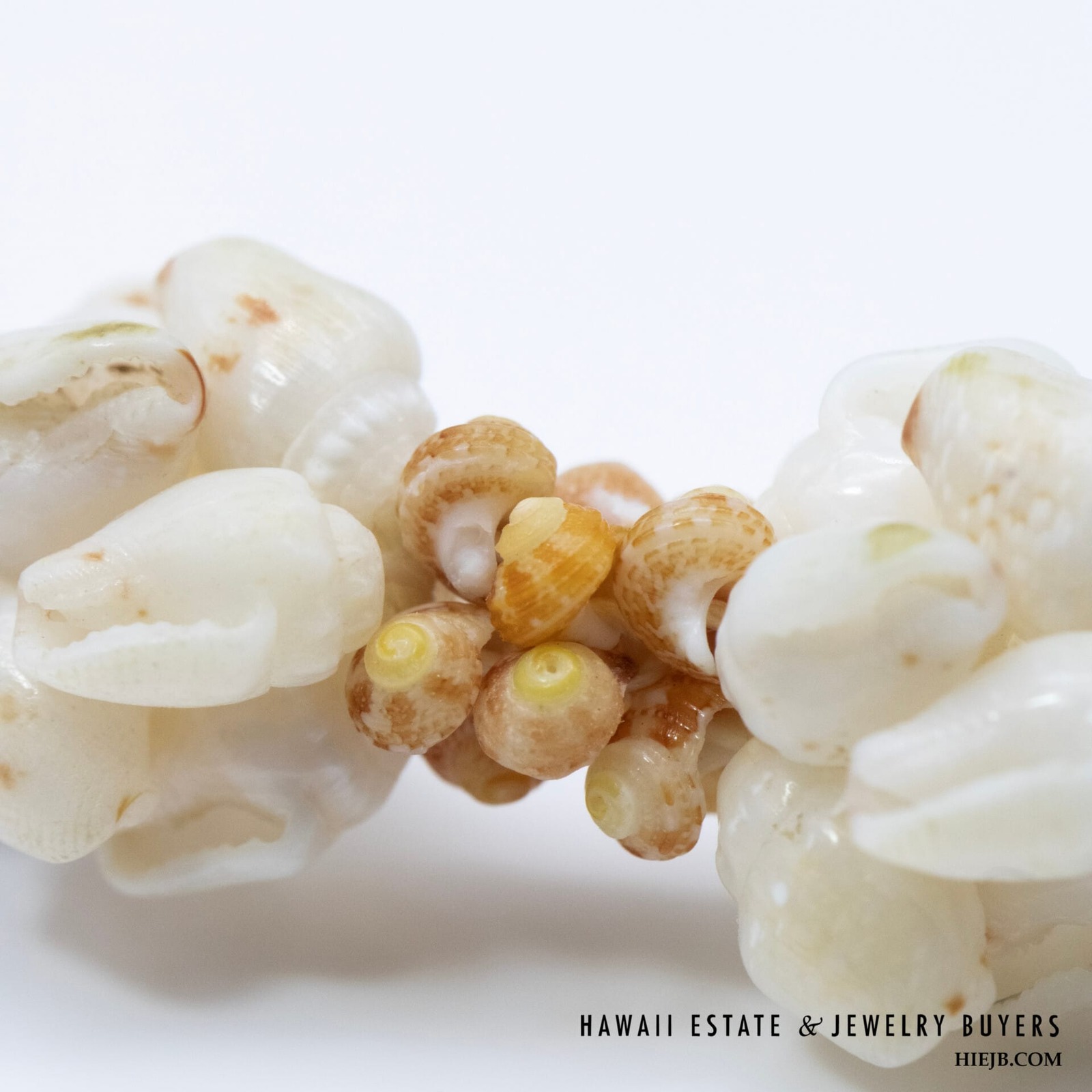 Ni'ihau Shell Lei Pua Kalaunu 22.5 Inch with Earrings - Image 4