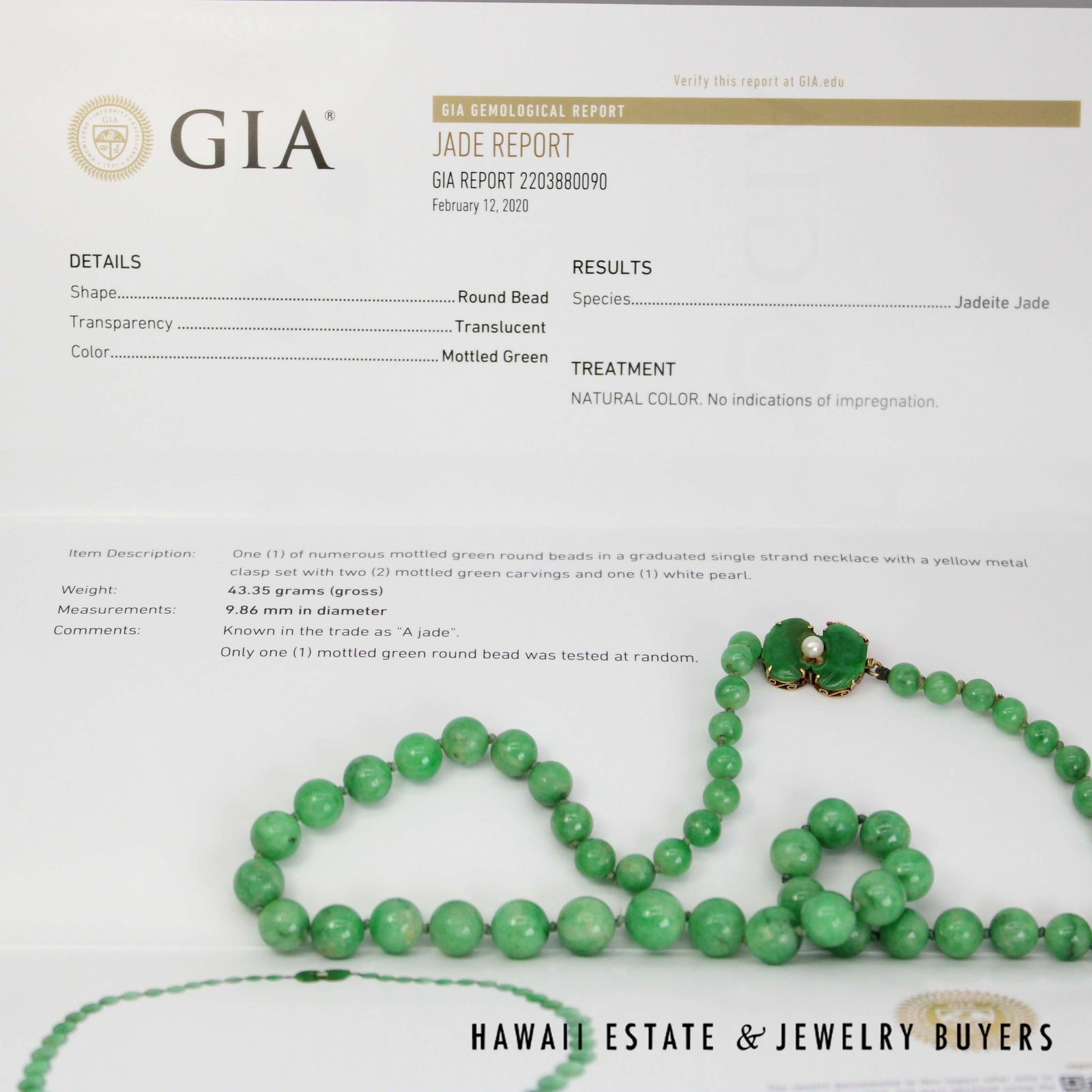 GIA Green Jade Type A Bead 14K Yellow Gold Necklace w/ Carved Pearl Clasp - Image 3